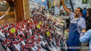 Geldpolitik: Erdogan deutet Wende in der Zinspolitik an