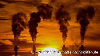 Umweltverbände: Neues Heizungsgesetz geht nicht weit genug