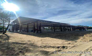 G.S. Gelato expansion nearly complete