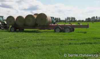 Bradford West Gwillimbury advocates for 'right-to-repair' governance