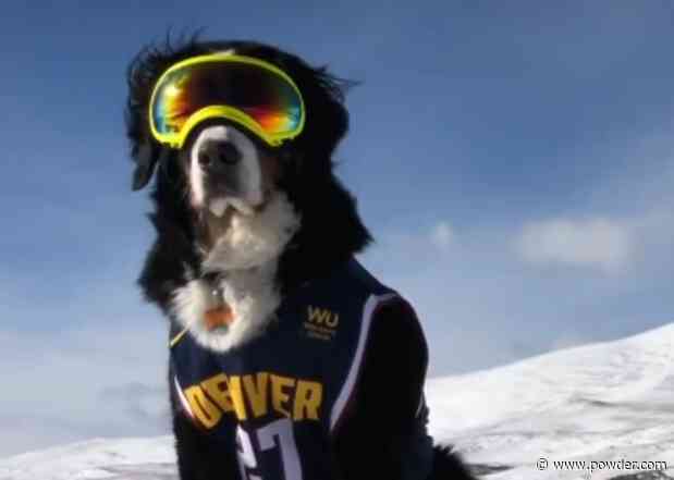Colorado Ski Area's Mascot Celebrates Nuggets' Finals Win