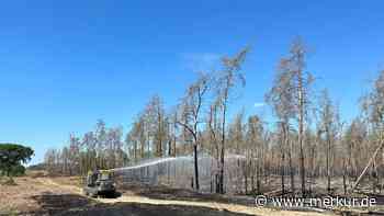 Waldbrand bei Lübtheen: Einwohner von Volzrade kehren zurück