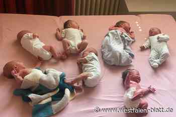 Sieben Babys innerhalb von 24 Stunden in Holzminden geboren
