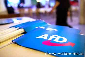 Ratswahl in Lübbecke: Kreis-AfD in nächster Instanz gescheitert