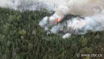 Forest fire smoke leads to special weather statements for northwestern Ontario