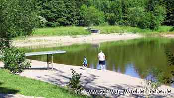 Bömbachsee in Spielberg: Pegel sinkt wieder: Baden verboten