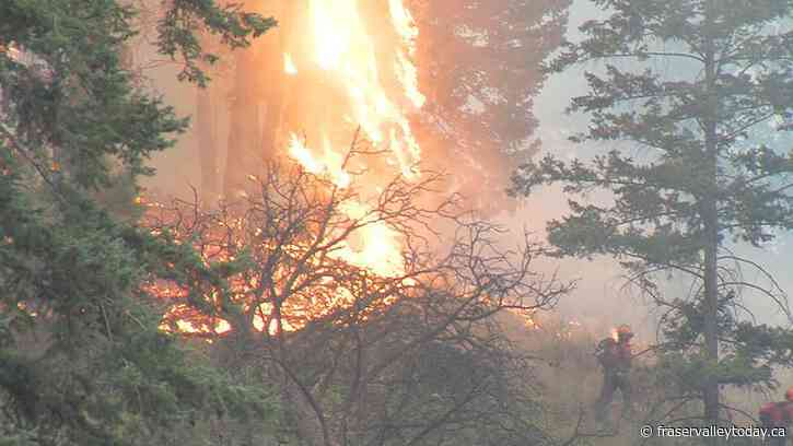 YOUR PERSPECTIVE: Keep yourself and your community safe this summer