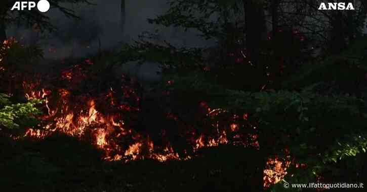 Boschi a fuoco in Francia: distrutti almeno 30 ettari nella regione dei Vosgi – Video