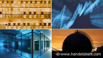 Aktien: Hohe Ausschüttungen, begrenztes Kurspotenzial: Vier Dax-Dividendenkönige im Check