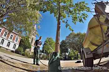 Herford: Bewässerung mit gereinigtem Abwasser?
