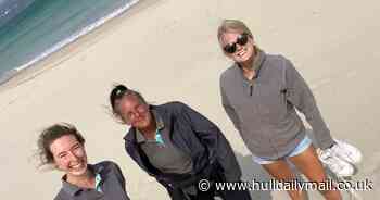 Holiday company pitches in to preserve UK coastlines for World Ocean Day