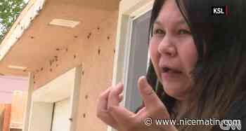 "Ils tombent du plafond": dans le Nevada, des millions de criquets ont envahi une petite ville et provoquent la panique chez les habitants