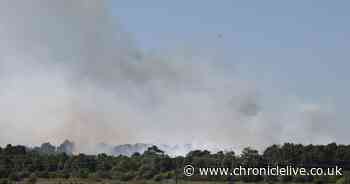 More than 50 firefighters tackling huge wildfire at nature reserve near Newcastle Airport