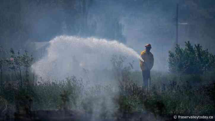 What you need to know about wildfires in Canada