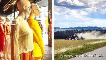 7 Dinge, bei denen Deutschland vom Ausland abhängig ist