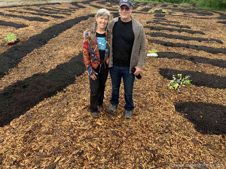 New community garden is also a work of art 