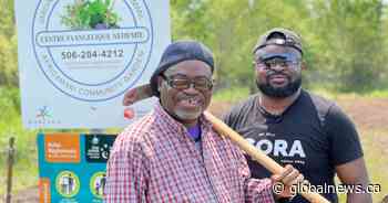N.B. father and son cultivate peace through Africamani Community Garden