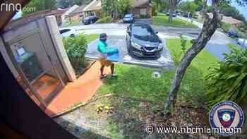 ‘Excuse me?!': Pembroke Pines resident catches thief stealing package through Ring camera