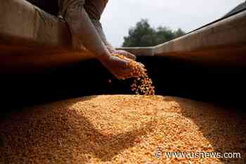 Protests by Mexican Farmers Over Grains Prices Shut Down Sinaloa Airport