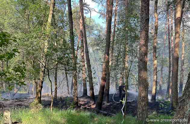 FW-ROW: ++ Waldbrand in Tiste - 1800 Quadratmeter Waldfläche in Brand ++ Schwerer Verkehrsunfall auf der L 130