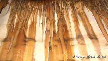 Princess Margaret Rose Cave reopening delayed hurting tourism businesses on Victorian border