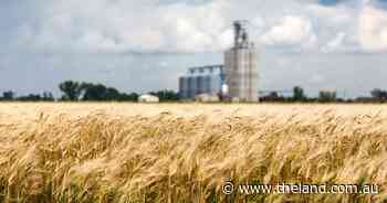 Tensions grip grain markets