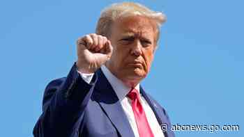 Trump narrowing list of potential attorneys to join his legal team: Sources