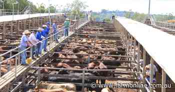 Don't blame us: processors hit back on cattle market claims