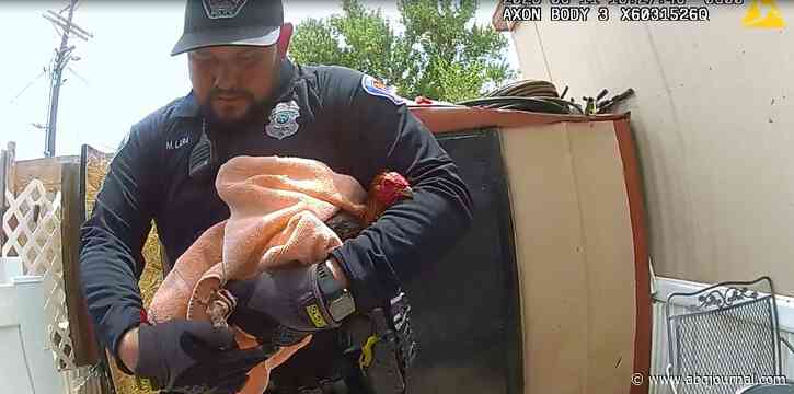 Editorial: NM must keep pressure on illegal animal fighting