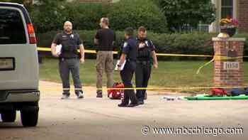 2 killed in shooting during domestic dispute in Geneva