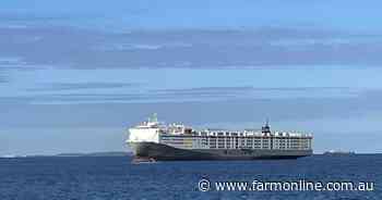 Tell the minister: Expect a class action if you push on with live sheep ban