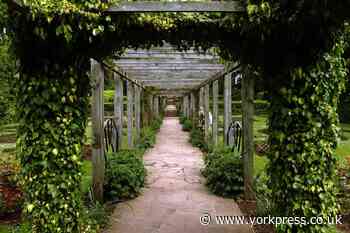 Youths start fire in West Bank Park in Holgate, York