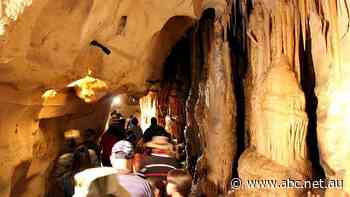 Princess Margaret Rose Cave reopening delay hurting tourism businesses on Victorian border