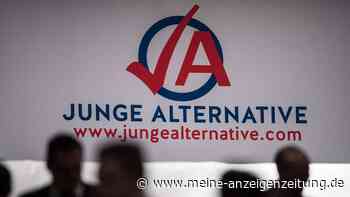 AfD: Junge Alternative zunächst wieder Verdachtsfall
