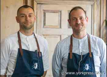 Tansy Beetle Bar opens in The Rattle Owl in Micklegate