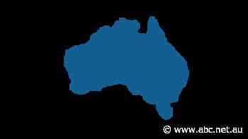 Are you a winner or loser in Labor's South Australian budget?