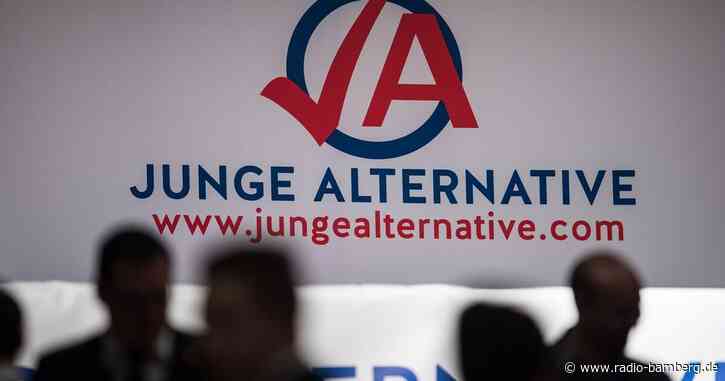 AfD: Junge Alternative zunächst wieder Verdachtsfall