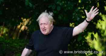 Boris Johnson full statement as blasts 'deranged' Privileges Committee