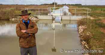 How water buybacks could affect Riverina irrigators