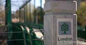 How one Ontario city is blazing the trail for public sector AI use