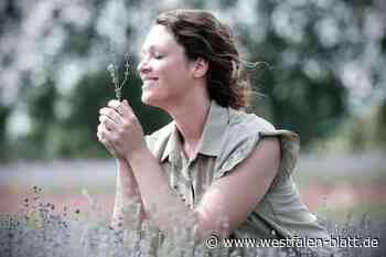 „Petite Provence“: Lavendel-Feld am Weserbogen bei Corvey