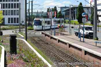 Sommer, Sonne, Großbaustelle: Adenauerplatz erneut gesperrt