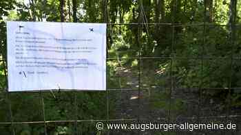 Stadt baut illegale Mountainbike-Strecke zurück – doch es entstehen Alternativen