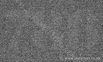 Can YOU see it? This TV static has a number hidden within it