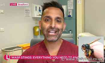 Want to ward off wasps? Expert reveals how to repel the insects this summer 