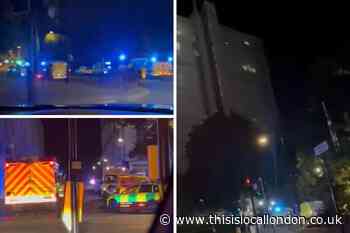 Camden Council 'distressed' as woman falls from tower block