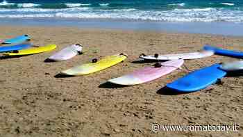 Dall'Uruguay ad Ardea: quaranta chili di cocaina nascosti nelle tavole da surf