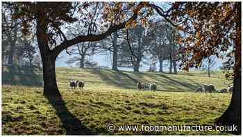 Rhug Estate: The perks of organic production