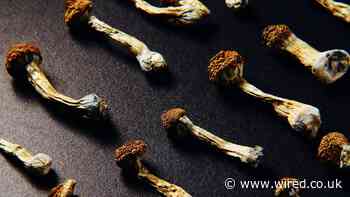 Psychedelic Therapy Is Here. Just Don’t Call It Therapy