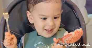 'I cook my toddler fancy dinners so he doesn't become a picky eater'